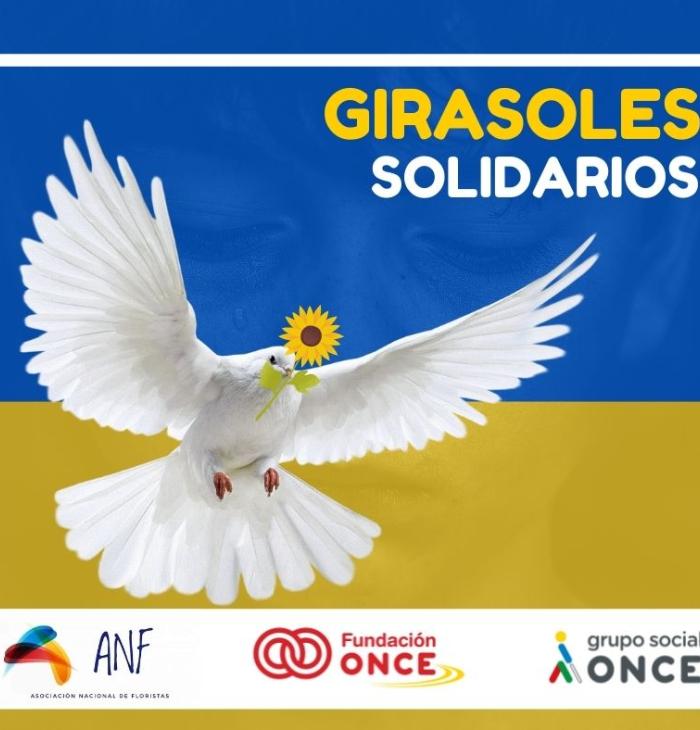 Imagen de campaña Girasoles Solidarios